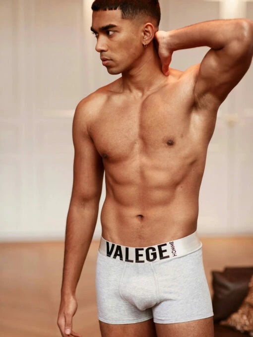 ALBERT Boxer Gris Chiné 1 ALBERT Boxer Gris Chiné -Valège Soldes Boutique albert boxer gris chine