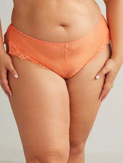 Hipster Dahalia Orange