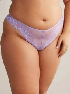 Tanga Dahalia Orchid