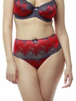 Devant 21 FAME Belle Culotte